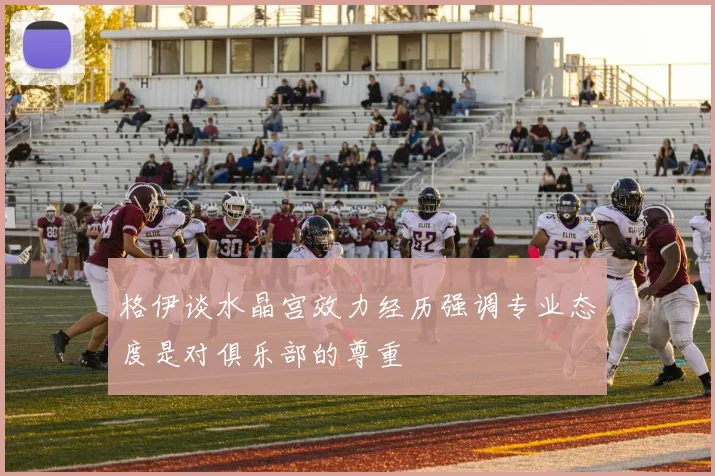 格伊谈水晶宫效力经历强调专业态度是对俱乐部的尊重