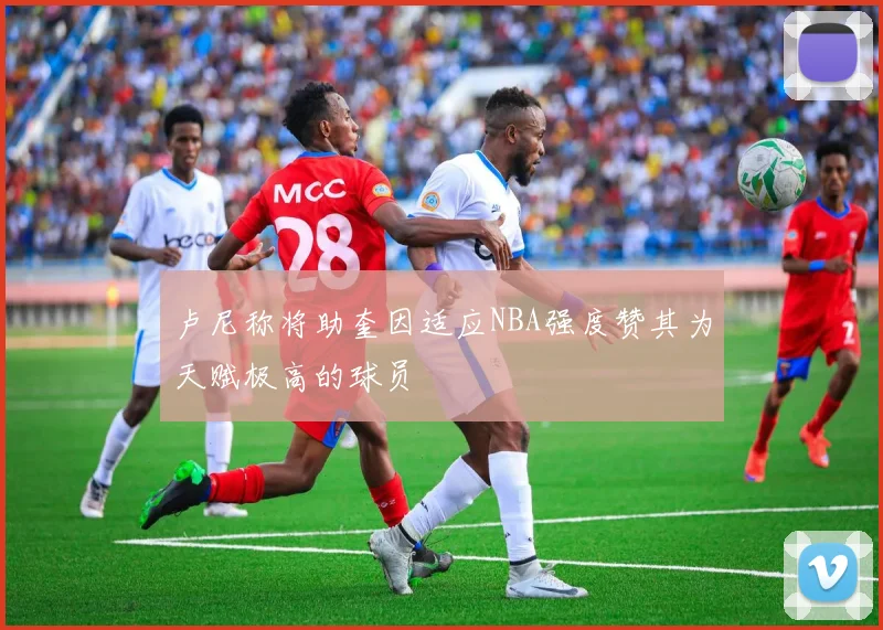 卢尼称将助奎因适应NBA强度赞其为天赋极高的球员