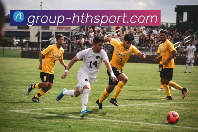 华体会体育品牌故事